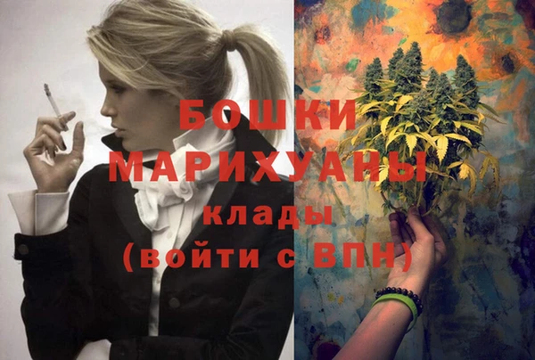 сатива Аркадак