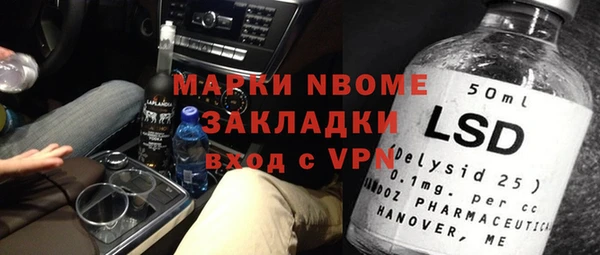 сатива Аркадак