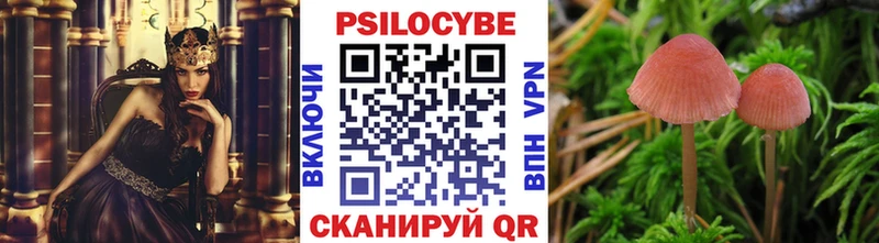 Псилоцибиновые грибы Psilocybine cubensis  наркошоп  Славск 